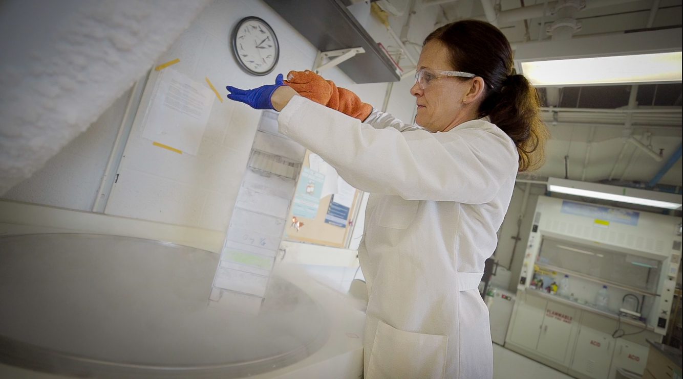 U-M Pancreatic Disease Initiative - Rogel Cancer Center